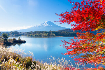 富士山と紅葉・河口湖　fall 2024