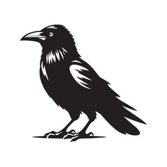 Obraz premium Simplified crow silhouette for modern design projects - Crow illustration - minimallest crow vector 