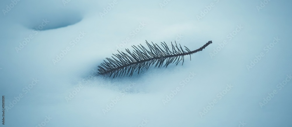 Poster christmas tree branch resting on a smooth blanket of white snow in a serene winter landscape atmosph