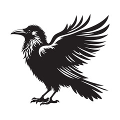 Obraz premium Stylish crow silhouette for various creative projects - Crow black vector 