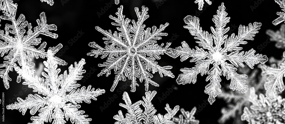 Poster elegant abstract background showcasing intricately detailed snowflakes in a contrasting black and wh