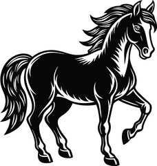Obraz premium black horse vector illustration