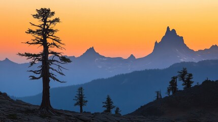Obraz premium Stunning sunset illuminating trees and mountains creating a breathtaking landscape with vibrant orange and blue hues in the sky