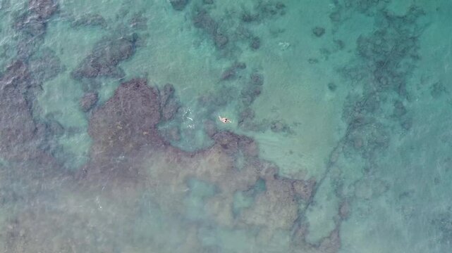 A girl swimming in the sea at Playa de Las Canteras in Gran Canaria, Canary Islands, Spain during summer, captured by drone, showcasing the fun and vibrant beach atmosphere.