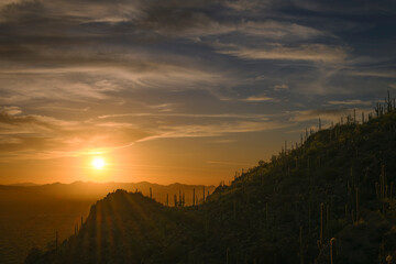 The sun sets majestically over a desert scene, casting orange glows over silhouetted Saguaro cacti and rolling hills, creating a serene and breathtaking vista.