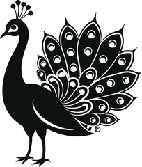Fototapeta premium peacock black and white vector 