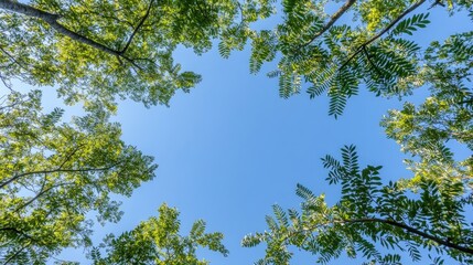 Fototapeta premium Frame of green leaves and trees against a clear blue sky highlighting solar power panel eco-friendly energy and sustainability concepts