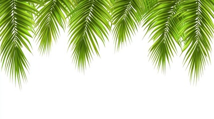 Fototapeta premium Lush green palm leaves creating a vibrant tropical background on a clean white surface for design and decoration needs