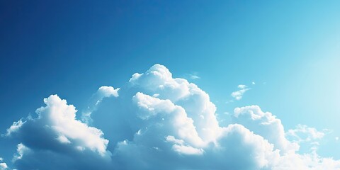 Cloud based ERP software featuring customizable integrated applications enhances decision making and improves operational efficiency for organizations.