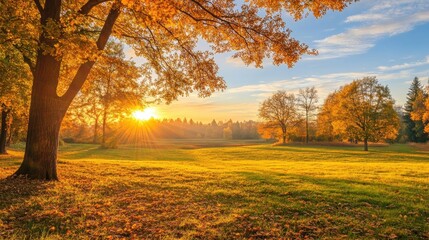 Enchanting scenic view in autumn morning with warm golden light. Peaceful country landscape capturing the beauty of sunrise and the essence of autumn. Copy space available.