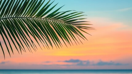 Fototapeta premium Tropical summer banner design incorporates a palm leaf against a stunning ocean beach backdrop at sunset, creating an inviting tropical atmosphere with ample space for text.