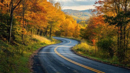 Obraz premium Winding Road Through Autumnal Forest