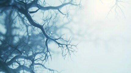 Detailed view of interconnected neurons in the human brain, symbolizing cellular memory and cognitive complexity, perfect for educational and scientific purposes.