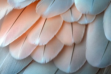 Naklejka premium Ultra-Realistic Light Pink Feather Texture Background, Soft and Delicate Feathers, Fine Detail and Smooth Surface