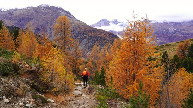A  man hiking in the mountains above Pontresina, in autumn.