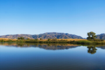 Naklejka premium lake in the mountains is completely calm, the mirror of the water reflects the surrounding summer landscape.