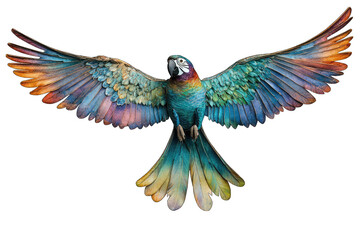 A vibrant, colorful parrot in mid-flight, showcasing its stunning plumage. transparent background