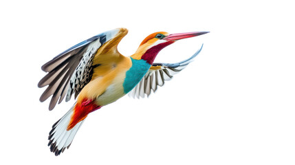 Obraz premium A vividly colored kingfisher in mid-flight, showcasing its striking plumage and dynamic movement against a simple background.