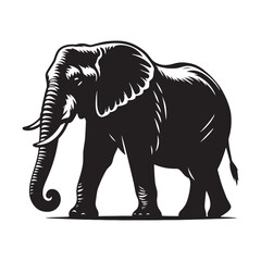 Obraz premium Unique elephant silhouette for artistic and print applications - Elephant black vector 