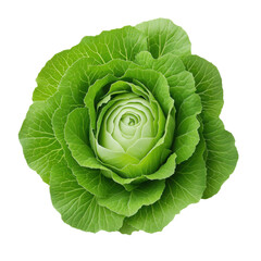 Obraz premium Lettuce on transparent background