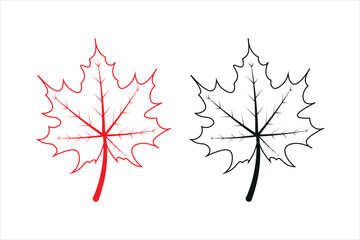 Maple Leaf  vector Art