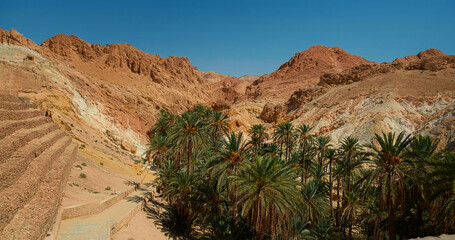 Chebika oasis in Tozeur Governorate view with palm trees and beautiful landscape. No people view of...