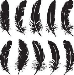 Obraz premium Detailed Feather Silhouettes Collection Vector Design 