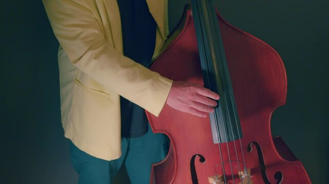 ウッドベース、ピチカート、カメラ固定、無音、音無し、青、緑
Wood bass, pizzicato, fixed camera, silent, no sound, blue, green