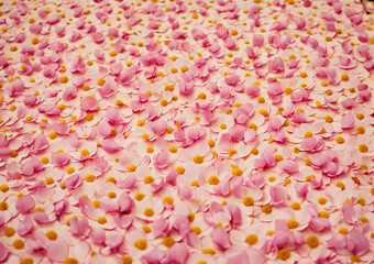 Colorful pink flower petals scattered on a light background for decoration