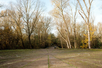Middlesex filter beds nature reserve showing concrete area and trees in autumn