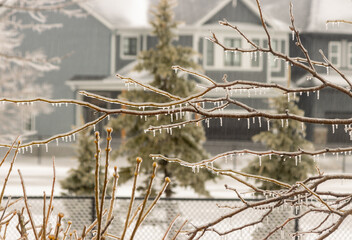 Ice Rain