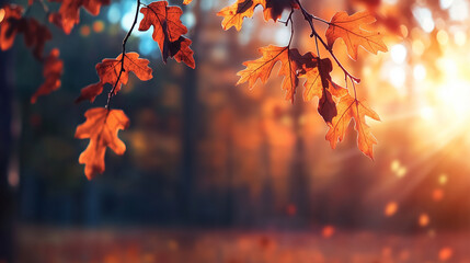Richly colored autumn oak leaves hanging on branches, with warm hues reflecting the golden hour light