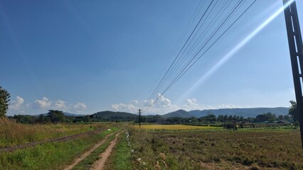 Afternoon Glow: Nature's Quiet Beauty
