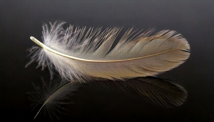 Obraz premium Elegant golden feather lying on a reflective surface showcasing delicate details and textures in natural light. Generative AI