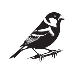 Obraz premium Minimalistic finch silhouette for digital and print uses - Finch illustration - minimallest finch vector 