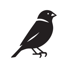 Finch silhouette for creative digital projects - Finch black vector
