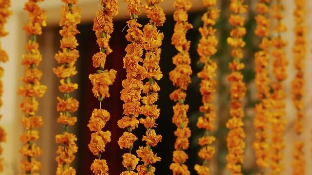 Wedding decor accessories for pakistani and Indian wedding, genda phool decoretion toran in wedding function, orange Marigold flowers arranged in alternate order, Beautiful marigold flowers wedding


