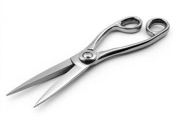 Obraz premium High-Quality Stainless Steel Kitchen Shears: Professional Cooking Utensils