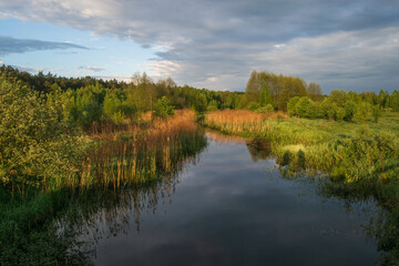 Fototapeta premium lake in the forest