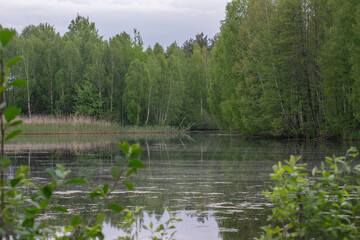 lake and forest