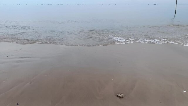footprints in the sand