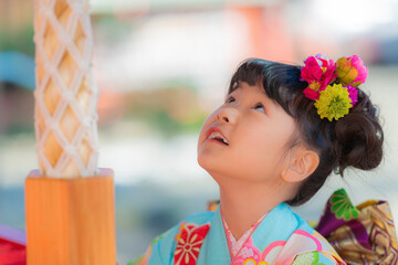 境内で参拝する七五三の7歳の女の子