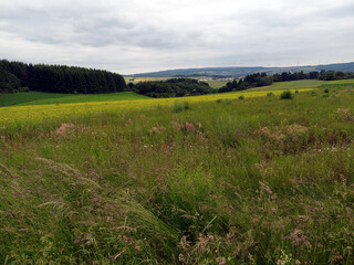 Obraz premium Sommerlandschaft mit Wiesen und Feldern bei Heidenburg im Hunsrück im Landkreis Bernkastel-Wittlich mit Wiesen und Feldern. Aussicht vom Wanderweg Saar-Hunsrück Traumschleife Arten-Reich.