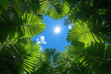 Fototapeta premium Sunlight Through Lush Palm Leaves: Tropical Paradise