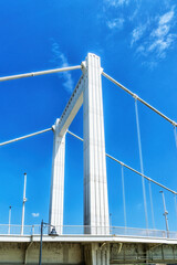 Fototapeta premium Elizabeth Bridge over the Danube River, Budapest