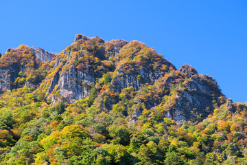 群馬県 紅葉に染まり始める秋の妙義山
