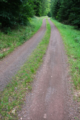 Weg im Th&uuml;ringer Wald, Th&uuml;ringen, Deutschland