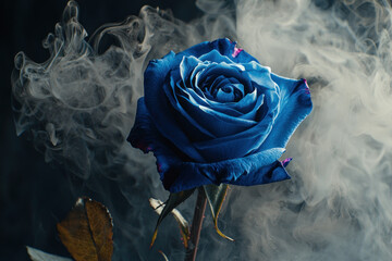 Blue rose in swirling smoke on black background.
