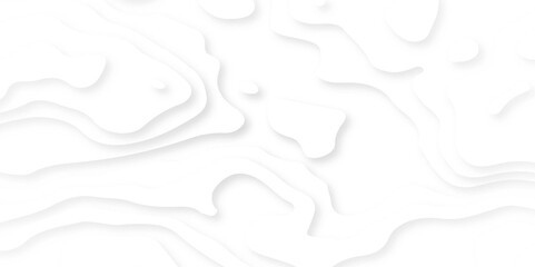 Abstract paper carve template. abstract white 3d papercut topography relief vector background illustration. 
