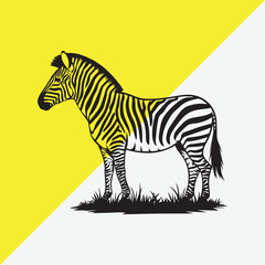 Obraz premium Zebra On Yellow Grassland Background